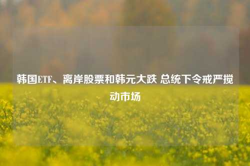 韩国ETF、离岸股票和韩元大跌 总统下令戒严搅动市场-第1张图片-合肥慧帆商贸有限公司