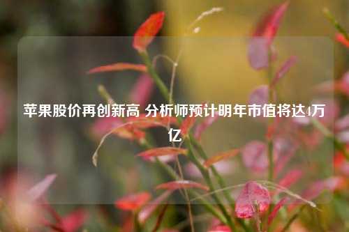 苹果股价再创新高 分析师预计明年市值将达4万亿-第1张图片-合肥慧帆商贸有限公司