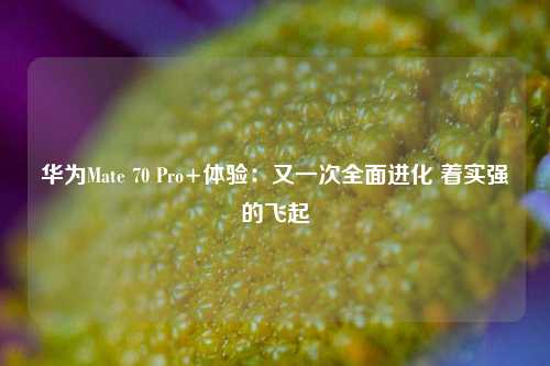 华为Mate 70 Pro+体验：又一次全面进化 着实强的飞起-第1张图片-合肥慧帆商贸有限公司