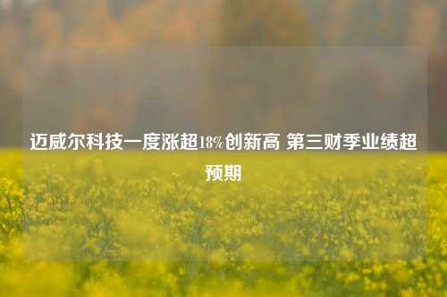 迈威尔科技一度涨超18%创新高 第三财季业绩超预期-第1张图片-合肥慧帆商贸有限公司