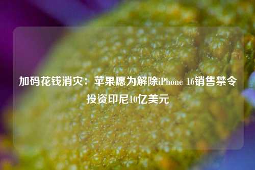 加码花钱消灾：苹果愿为解除iPhone 16销售禁令投资印尼10亿美元-第1张图片-合肥慧帆商贸有限公司