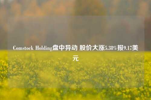 Comstock Holding盘中异动 股价大涨5.38%报9.17美元-第1张图片-合肥慧帆商贸有限公司