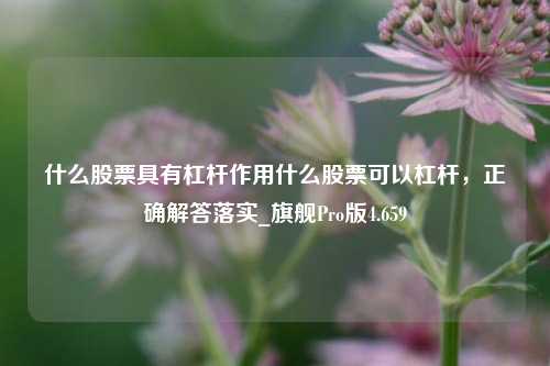 什么股票具有杠杆作用什么股票可以杠杆，正确解答落实_旗舰Pro版4.659-第1张图片-合肥慧帆商贸有限公司