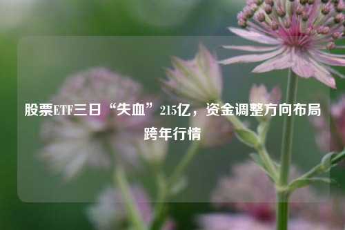 股票ETF三日“失血”215亿，资金调整方向布局跨年行情-第1张图片-合肥慧帆商贸有限公司