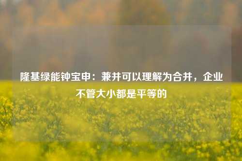 隆基绿能钟宝申：兼并可以理解为合并，企业不管大小都是平等的-第1张图片-合肥慧帆商贸有限公司