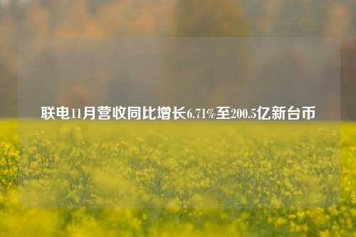 联电11月营收同比增长6.71%至200.5亿新台币-第1张图片-合肥慧帆商贸有限公司