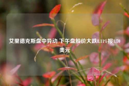 艾里德克斯盘中异动 下午盘股价大跌8.11%报1.70美元-第1张图片-合肥慧帆商贸有限公司