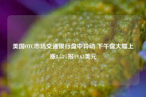 美国OTC市场交通银行盘中异动 下午盘大幅上涨8.53%报19.63美元-第1张图片-合肥慧帆商贸有限公司