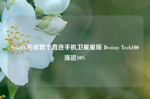 SpaceX完成首个直连手机卫星星座 Destiny Tech100涨近10%-第1张图片-合肥慧帆商贸有限公司