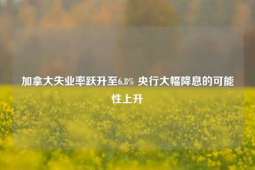 加拿大失业率跃升至6.8% 央行大幅降息的可能性上升-第1张图片-合肥慧帆商贸有限公司