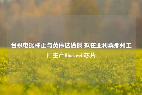 台积电据称正与英伟达洽谈 拟在亚利桑那州工厂生产Blackwell芯片-第1张图片-合肥慧帆商贸有限公司