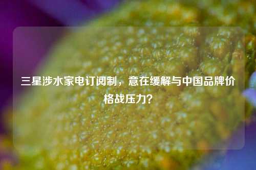 三星涉水家电订阅制，意在缓解与中国品牌价格战压力？-第1张图片-合肥慧帆商贸有限公司