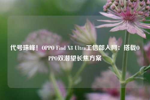 代号珠峰！OPPO Find X8 Ultra工信部入网：搭载OPPO双潜望长焦方案-第1张图片-合肥慧帆商贸有限公司