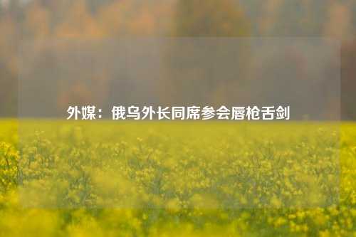 外媒：俄乌外长同席参会唇枪舌剑-第1张图片-合肥慧帆商贸有限公司