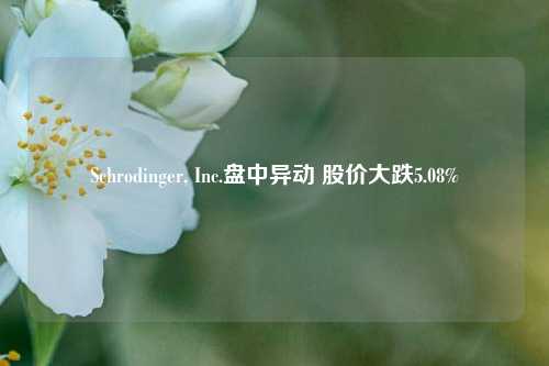 Schrodinger, Inc.盘中异动 股价大跌5.08%-第1张图片-合肥慧帆商贸有限公司