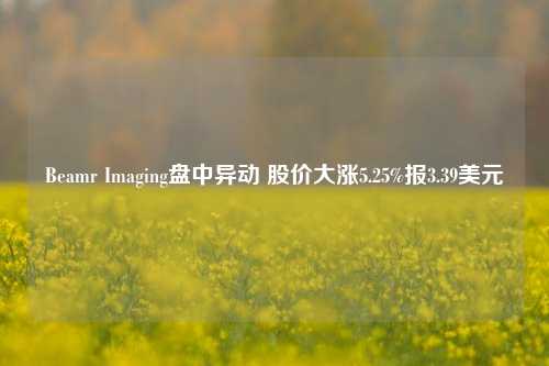 Beamr Imaging盘中异动 股价大涨5.25%报3.39美元-第1张图片-合肥慧帆商贸有限公司