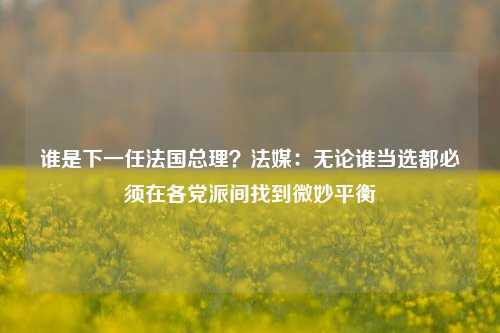 谁是下一任法国总理？法媒：无论谁当选都必须在各党派间找到微妙平衡-第1张图片-合肥慧帆商贸有限公司