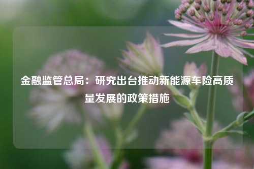 金融监管总局：研究出台推动新能源车险高质量发展的政策措施-第1张图片-合肥慧帆商贸有限公司