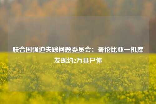 联合国强迫失踪问题委员会：哥伦比亚一机库发现约2万具尸体-第1张图片-合肥慧帆商贸有限公司