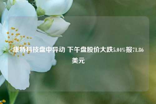 康特科技盘中异动 下午盘股价大跌5.04%报71.86美元-第1张图片-合肥慧帆商贸有限公司