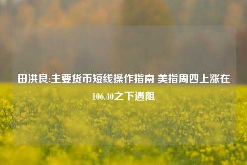 田洪良:主要货币短线操作指南 美指周四上涨在106.40之下遇阻-第1张图片-合肥慧帆商贸有限公司