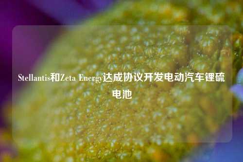 Stellantis和Zeta Energy达成协议开发电动汽车锂硫电池-第1张图片-合肥慧帆商贸有限公司