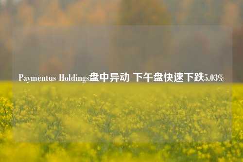 Paymentus Holdings盘中异动 下午盘快速下跌5.03%-第1张图片-合肥慧帆商贸有限公司