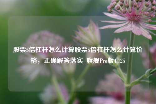 股票5倍杠杆怎么计算股票5倍杠杆怎么计算价格，正确解答落实_旗舰Pro版4.725-第1张图片-合肥慧帆商贸有限公司