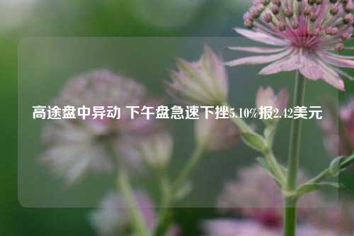 高途盘中异动 下午盘急速下挫5.10%报2.42美元-第1张图片-合肥慧帆商贸有限公司