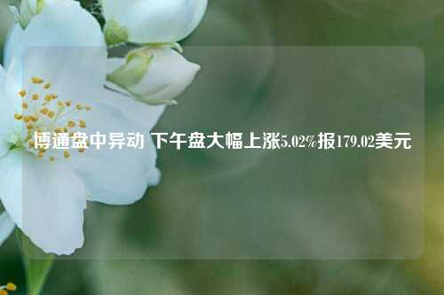 博通盘中异动 下午盘大幅上涨5.02%报179.02美元-第1张图片-合肥慧帆商贸有限公司