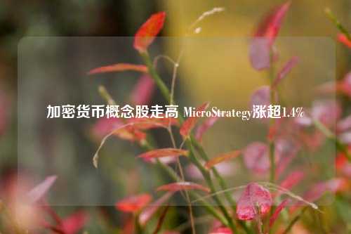 加密货币概念股走高 MicroStrategy涨超1.4%-第1张图片-合肥慧帆商贸有限公司