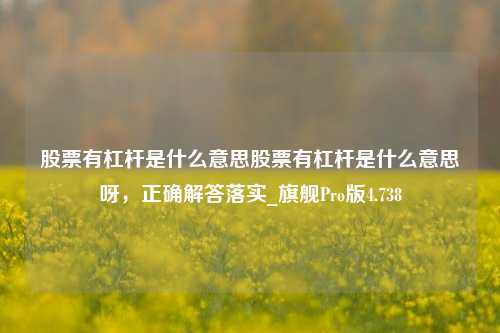 股票有杠杆是什么意思股票有杠杆是什么意思呀，正确解答落实_旗舰Pro版4.738-第1张图片-合肥慧帆商贸有限公司