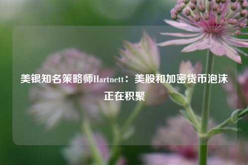 美银知名策略师Hartnett：美股和加密货币泡沫正在积聚-第1张图片-合肥慧帆商贸有限公司