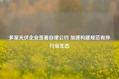 多家光伏企业签署自律公约 加速构建规范有序行业生态-第1张图片-合肥慧帆商贸有限公司