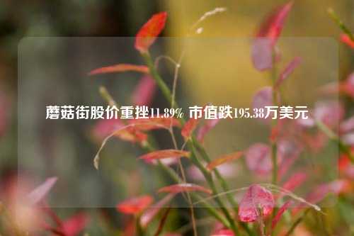 蘑菇街股价重挫11.89% 市值跌195.38万美元-第1张图片-合肥慧帆商贸有限公司