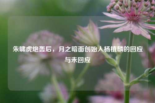 朱啸虎炮轰后，月之暗面创始人杨植麟的回应与未回应-第1张图片-合肥慧帆商贸有限公司