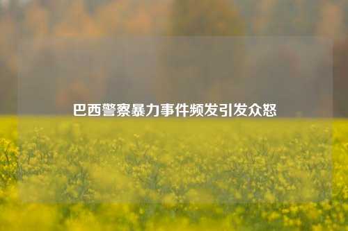 巴西警察暴力事件频发引发众怒-第1张图片-合肥慧帆商贸有限公司