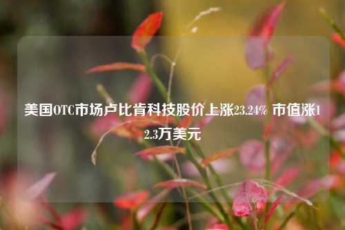 美国OTC市场卢比肯科技股价上涨23.24% 市值涨12.3万美元-第1张图片-合肥慧帆商贸有限公司