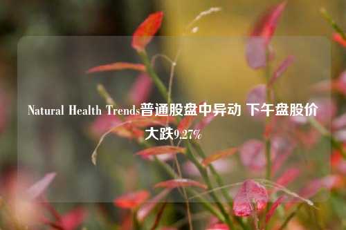 Natural Health Trends普通股盘中异动 下午盘股价大跌9.27%-第1张图片-合肥慧帆商贸有限公司