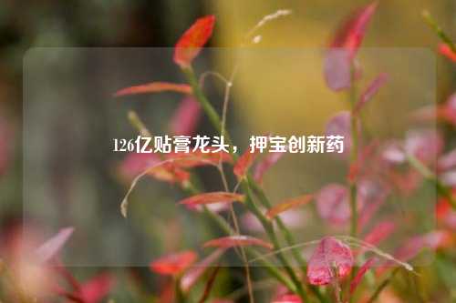 126亿贴膏龙头，押宝创新药-第1张图片-合肥慧帆商贸有限公司