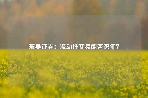 东吴证券：流动性交易能否跨年？-第1张图片-合肥慧帆商贸有限公司