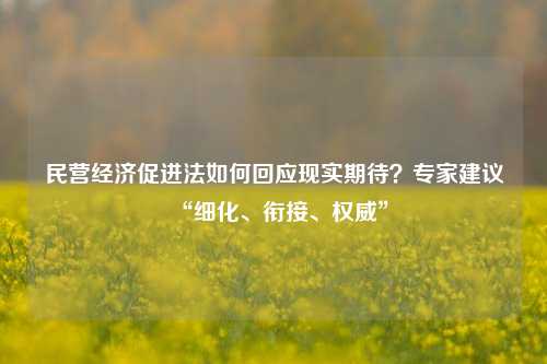 民营经济促进法如何回应现实期待？专家建议“细化、衔接、权威”-第1张图片-合肥慧帆商贸有限公司