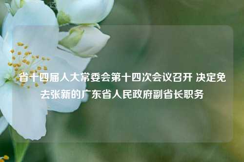 省十四届人大常委会第十四次会议召开 决定免去张新的广东省人民政府副省长职务-第1张图片-合肥慧帆商贸有限公司