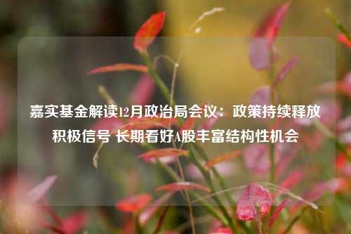 嘉实基金解读12月政治局会议：政策持续释放积极信号 长期看好A股丰富结构性机会-第1张图片-合肥慧帆商贸有限公司