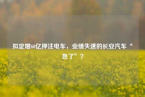 拟定增60亿押注电车，业绩失速的长安汽车“急了”？-第1张图片-合肥慧帆商贸有限公司