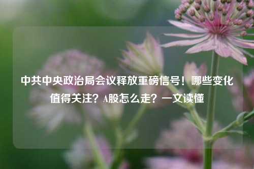 中共中央政治局会议释放重磅信号！哪些变化值得关注？A股怎么走？一文读懂-第1张图片-合肥慧帆商贸有限公司