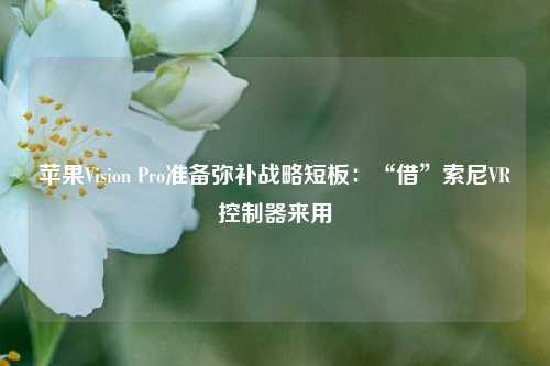 苹果Vision Pro准备弥补战略短板：“借”索尼VR控制器来用-第1张图片-合肥慧帆商贸有限公司