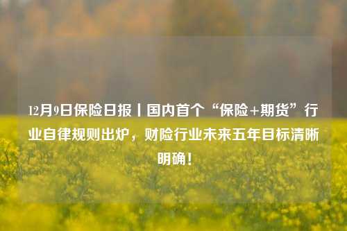 12月9日保险日报丨国内首个“保险+期货”行业自律规则出炉，财险行业未来五年目标清晰明确！-第1张图片-合肥慧帆商贸有限公司