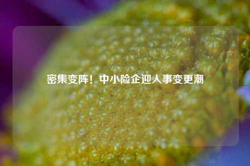 密集变阵！中小险企迎人事变更潮-第1张图片-合肥慧帆商贸有限公司