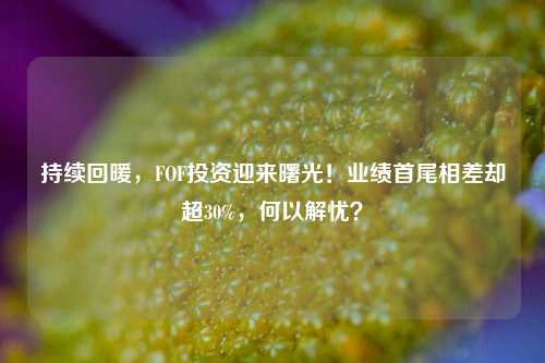 持续回暖，FOF投资迎来曙光！业绩首尾相差却超30%，何以解忧？-第1张图片-合肥慧帆商贸有限公司